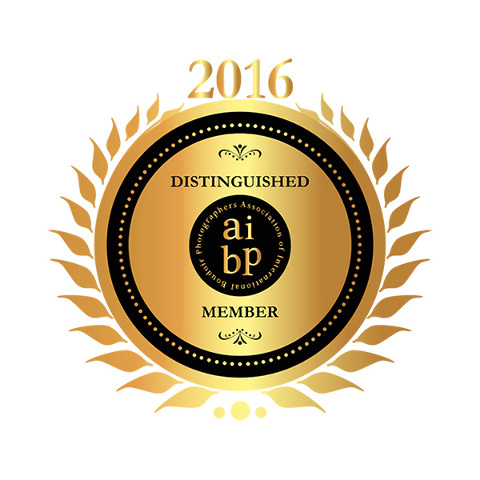 Distinguished Member Association of International Boudoir Photographers 2016