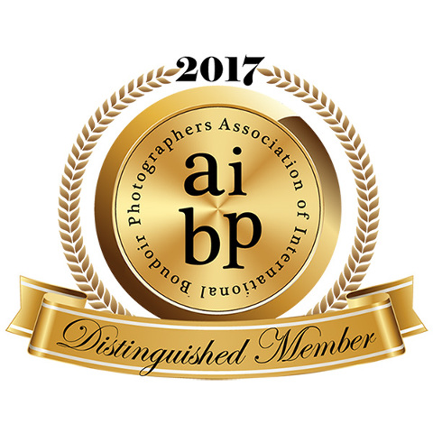 Distinguished Member Association of International Boudoir Photographers 2017